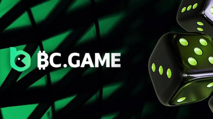 Explore the Exciting World of Hash Game The Official Mirror of BC.Game
